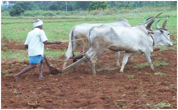 Tillage